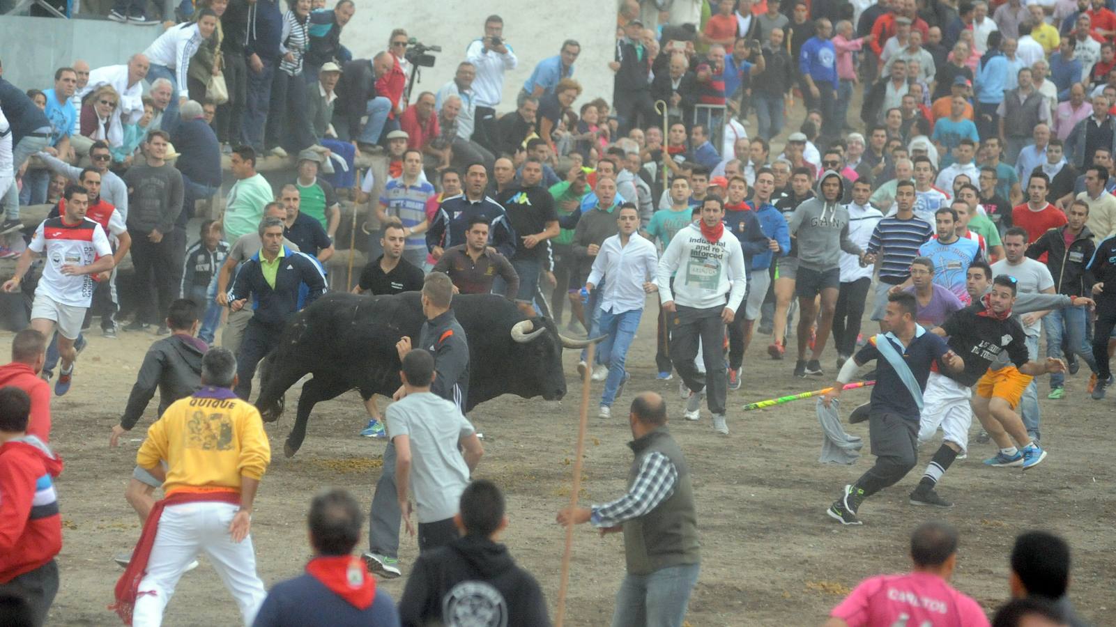 Tordesillas celebra su primer Toro de la Peña