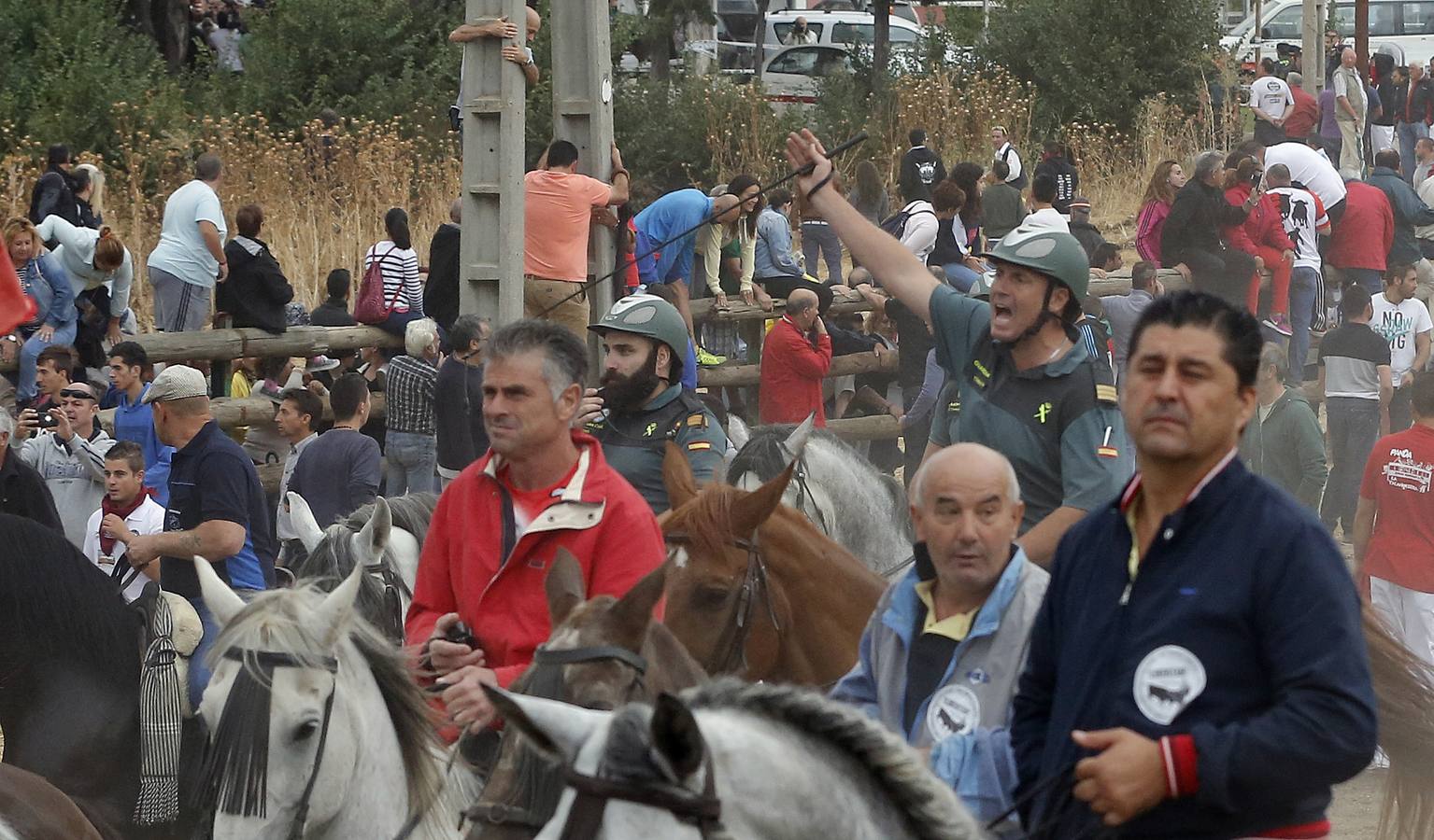 Tordesillas celebra su primer Toro de la Peña