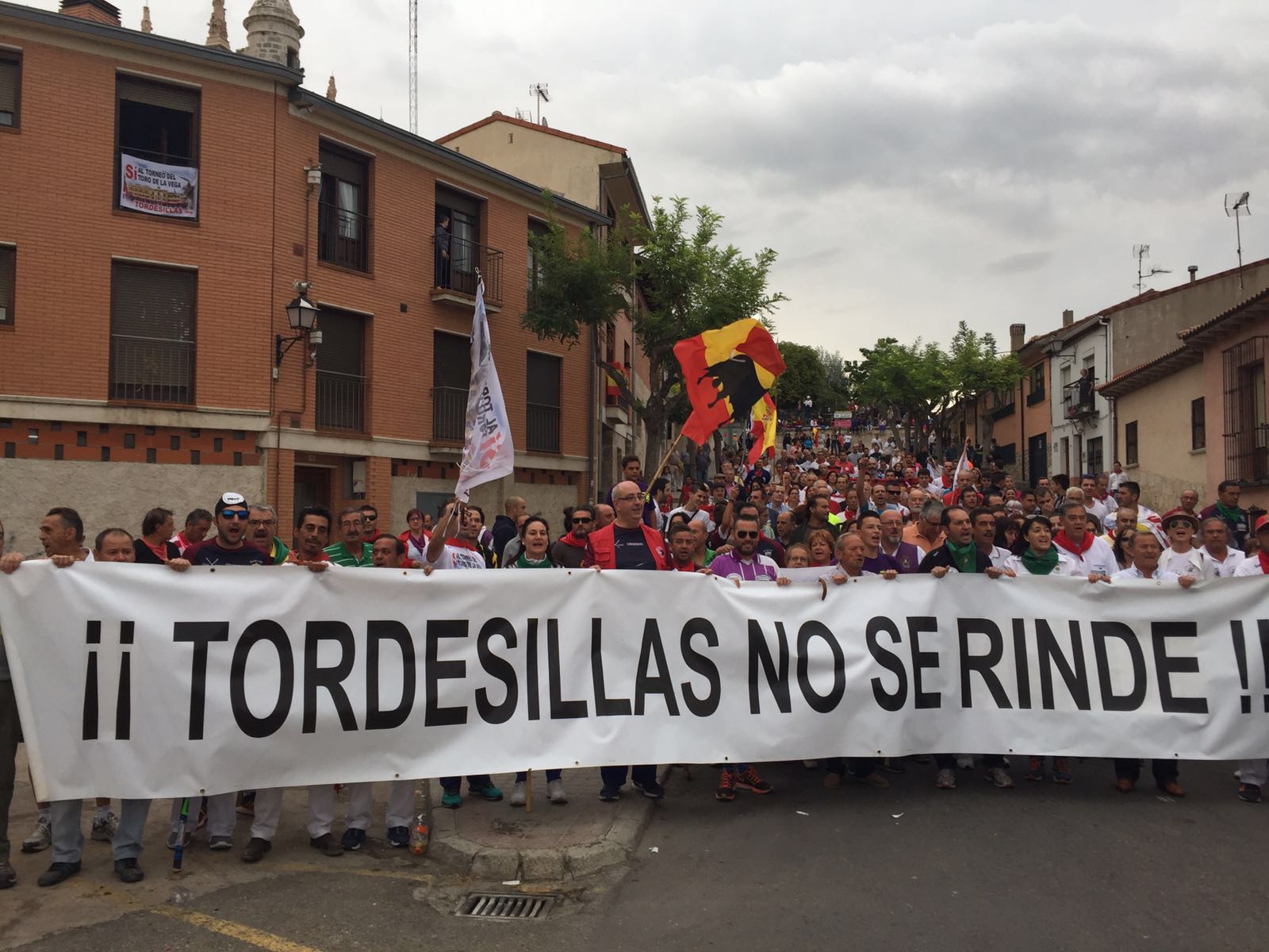 Expectación en Tordesillas en la celebración del primer Toro de la Peña