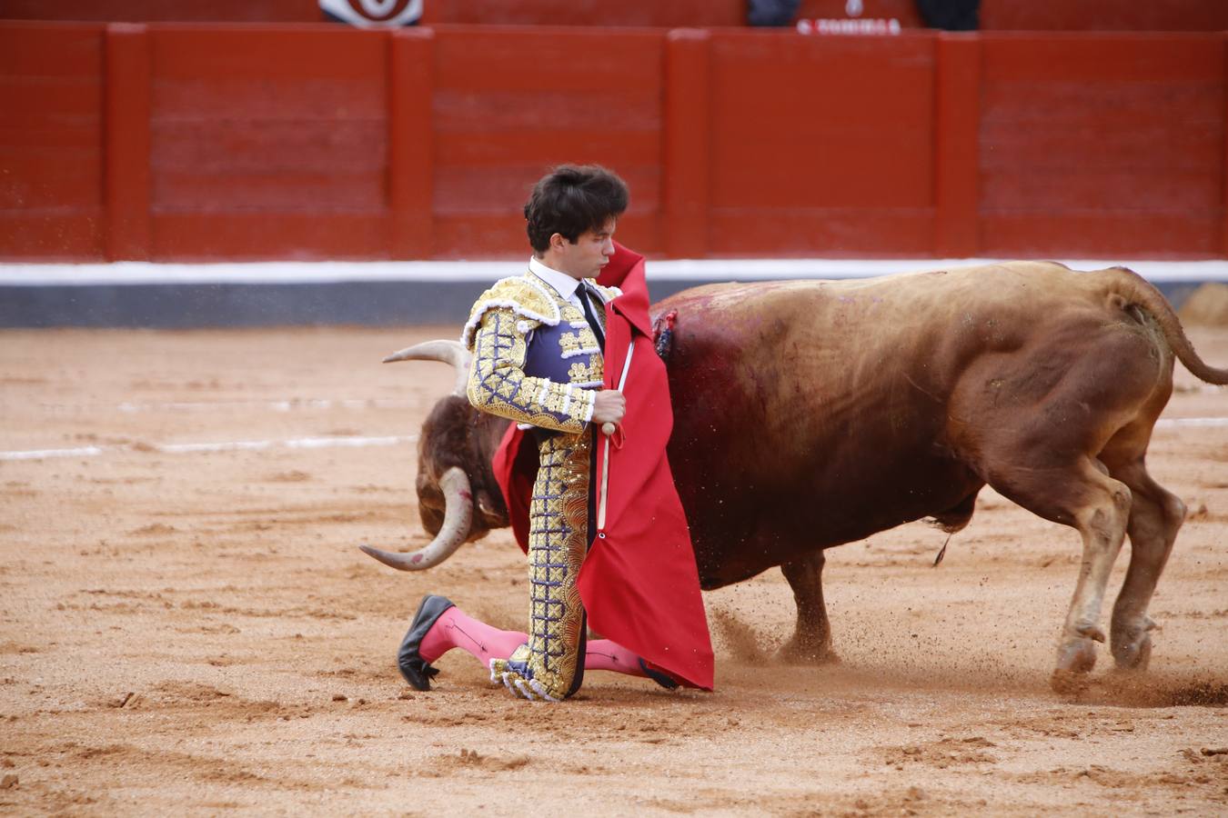 Morante de la Puebla, El Juli y Juan del Álamo, en la cuarta corrida de toros de la Feria de Salamanca