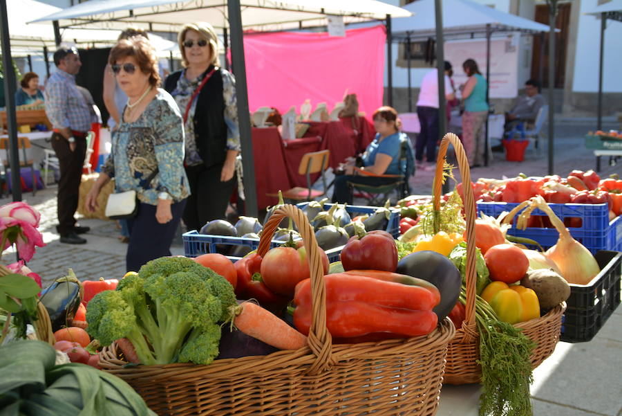 I Feria de Productos Hortícolas y de Artesanía de Lumbrales (Salamanca)