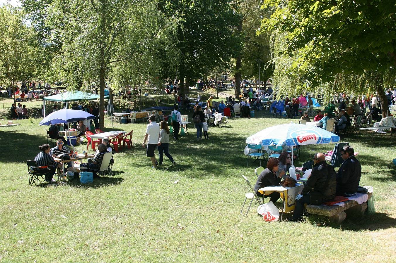 Miles de romeros se reúnen en El Henar para festejar a la Virgen en su día grande