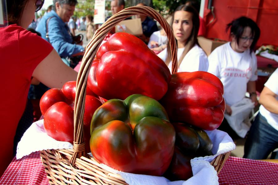 Feria del Pimiento de Torquemada (Palencia)