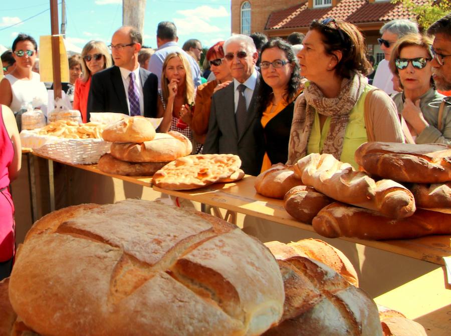 Feria del Pimiento de Torquemada (Palencia)