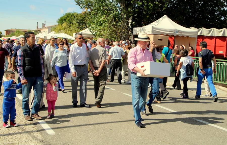 Feria del Pimiento de Torquemada (Palencia)