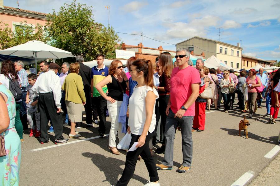 Feria del Pimiento de Torquemada (Palencia)