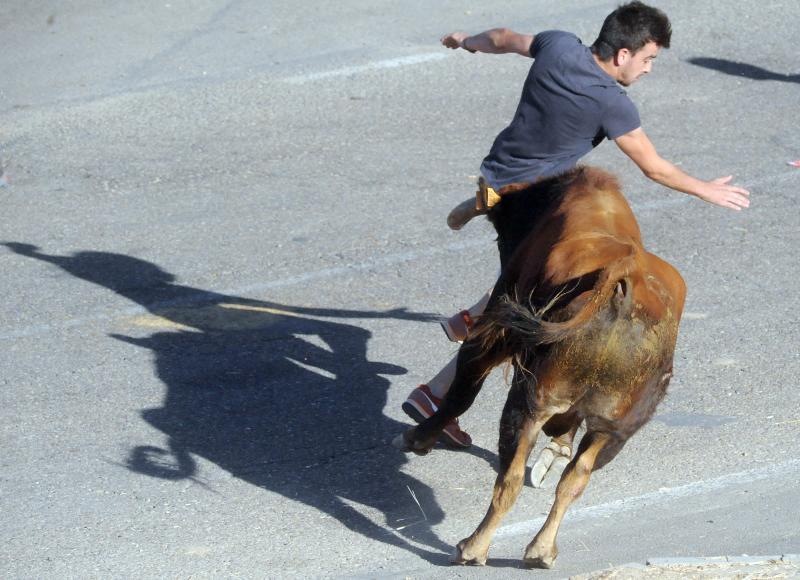 Encierro del sábado por la tarde en Olmedo