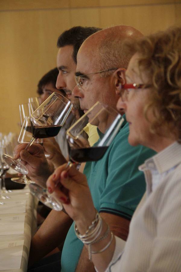 Fiesta de la vendimia en Peñafiel (1/2)