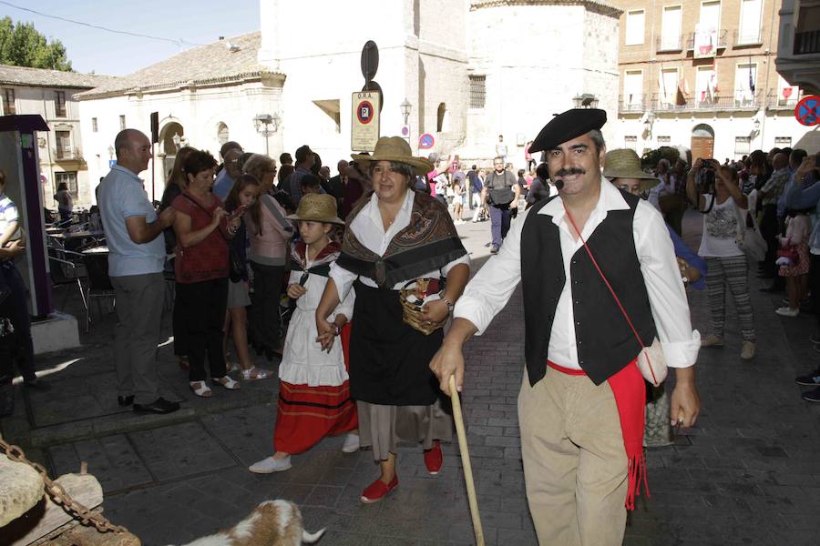 Fiesta de la vendimia en Peñafiel (1/2)