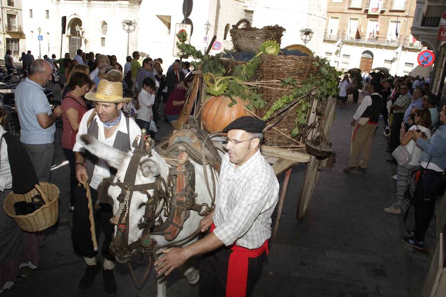 Fiesta de la vendimia en Peñafiel (1/2)