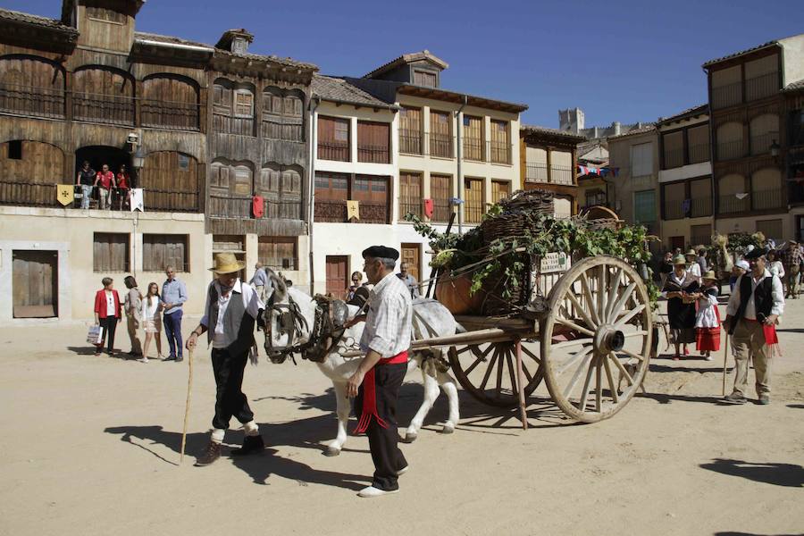 Fiesta de la vendimia en Peñafiel (2/2)
