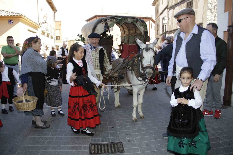 Fiesta de la vendimia en Peñafiel (2/2)