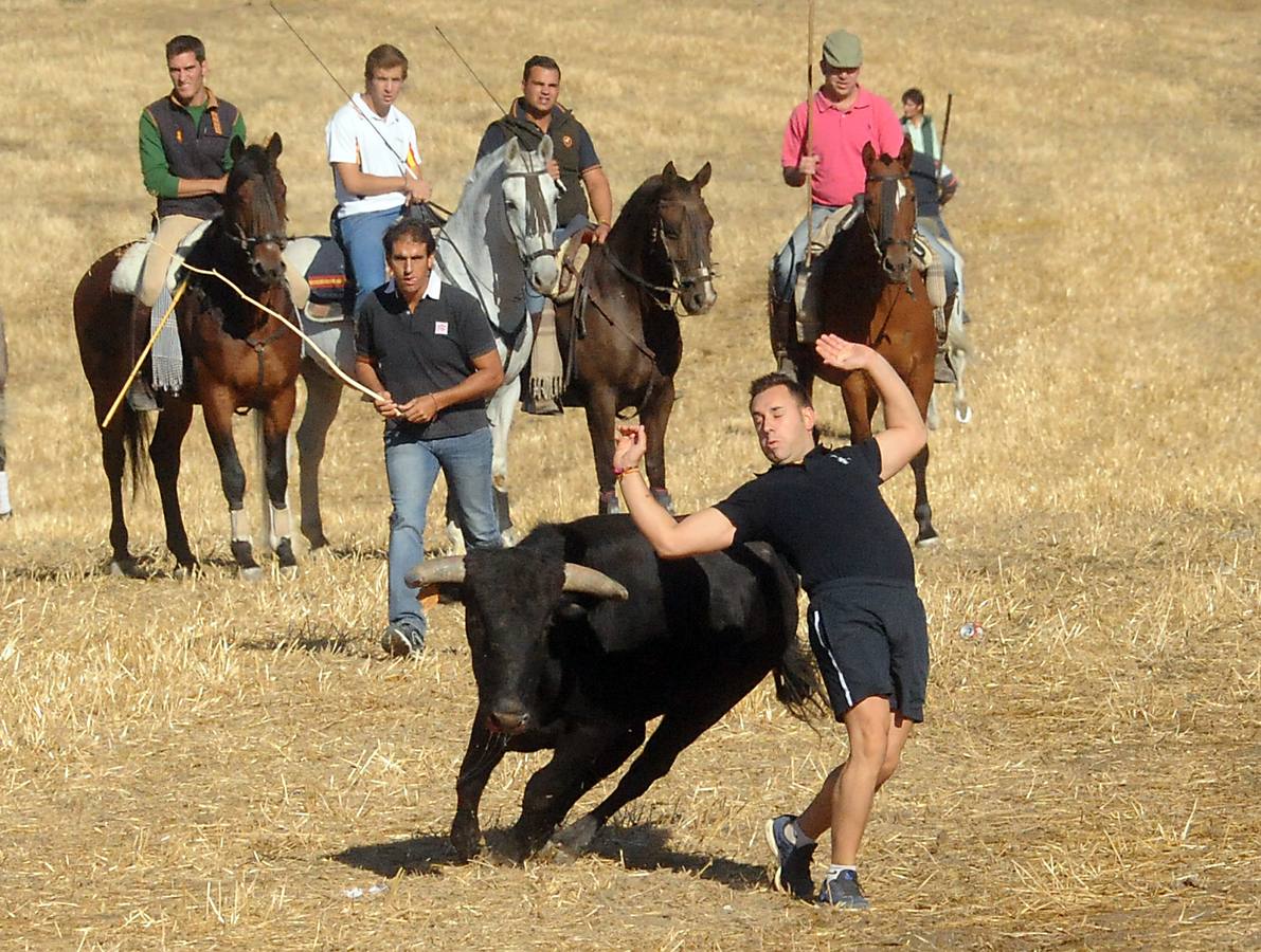 Último encierro de las fiestas de Olmedo
