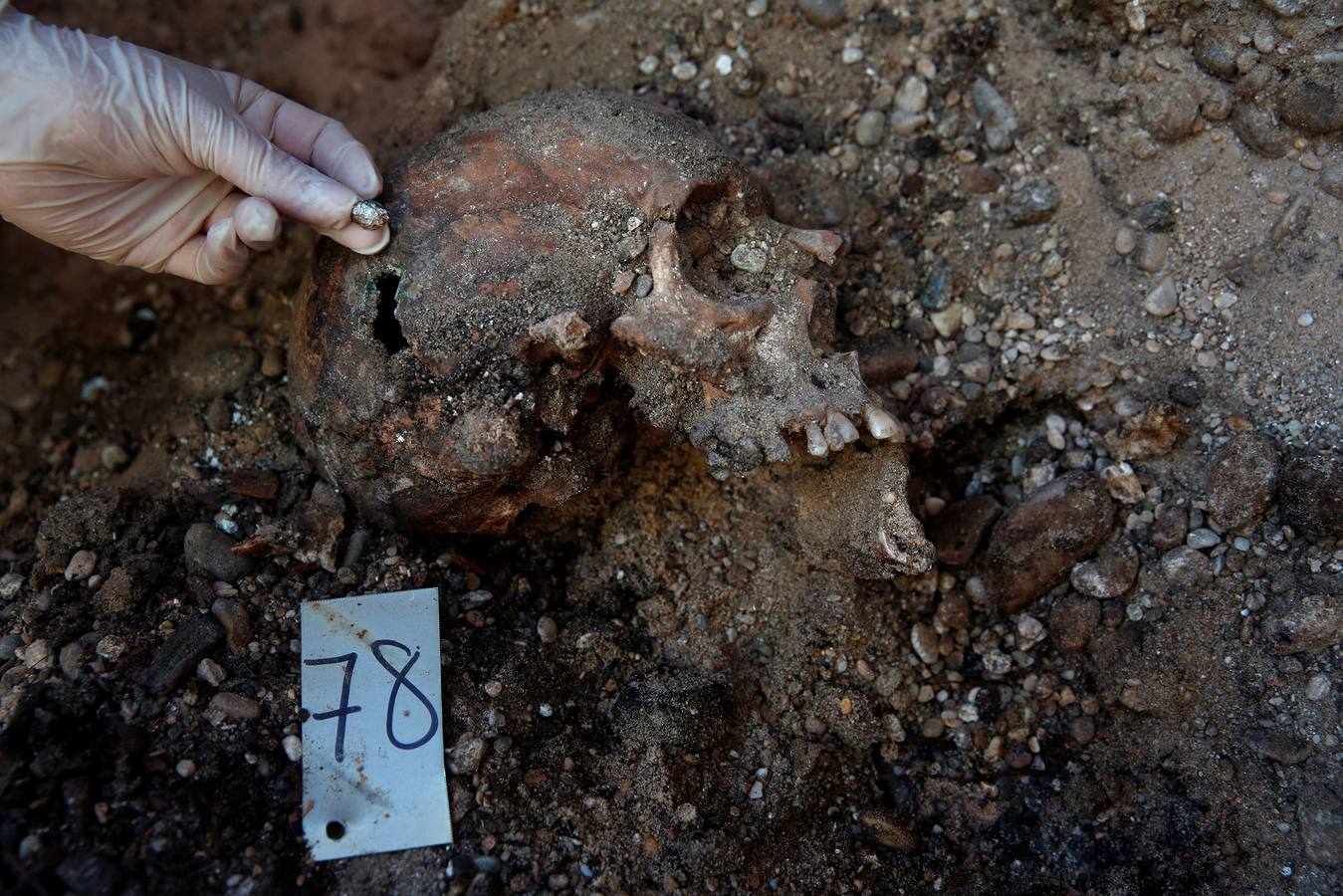 La Guerra Civil se sigue desenterrando: imágenes de Juan Medina