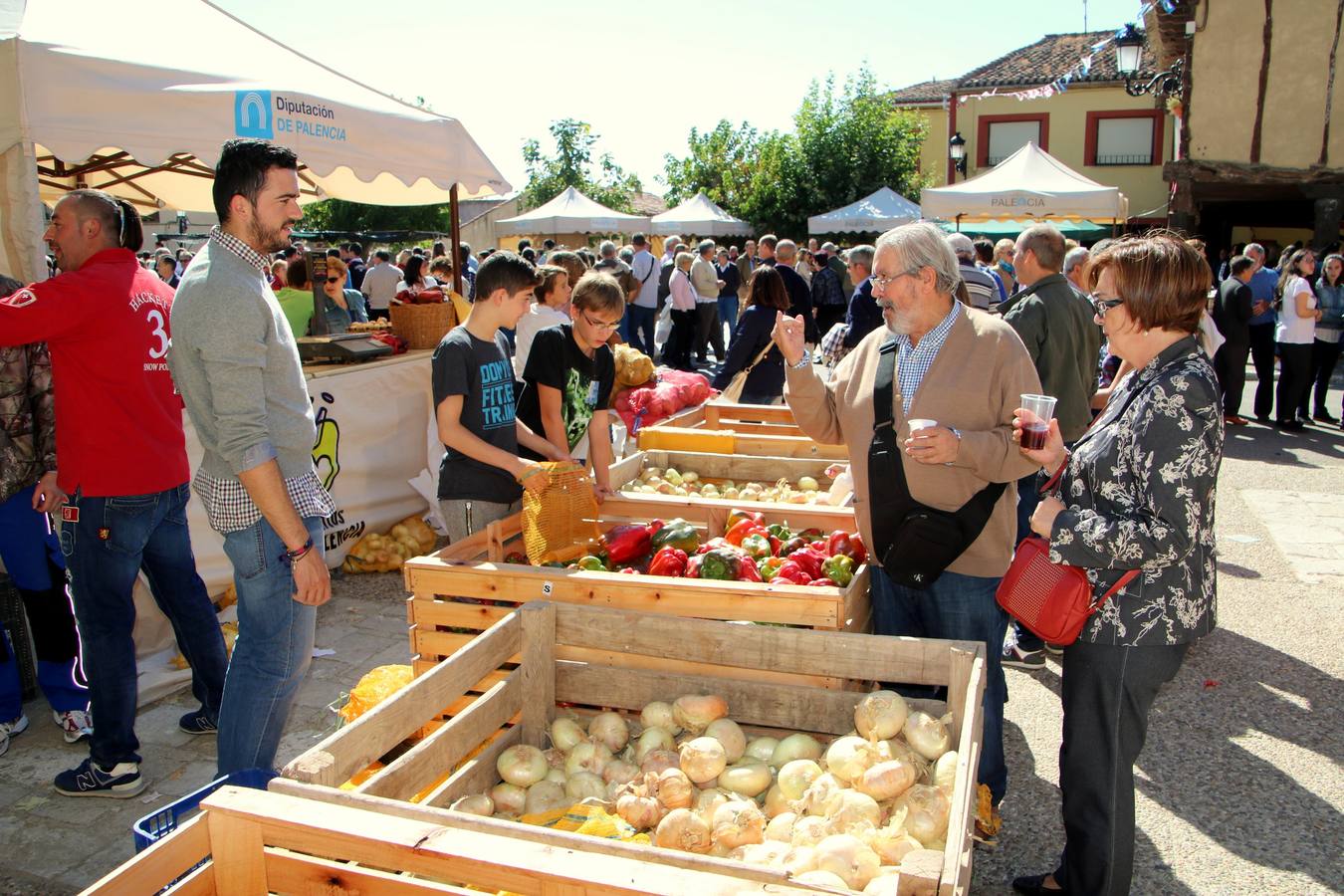 XIII Feria de la Cebolla Horcal de Palenzuela (1/2)