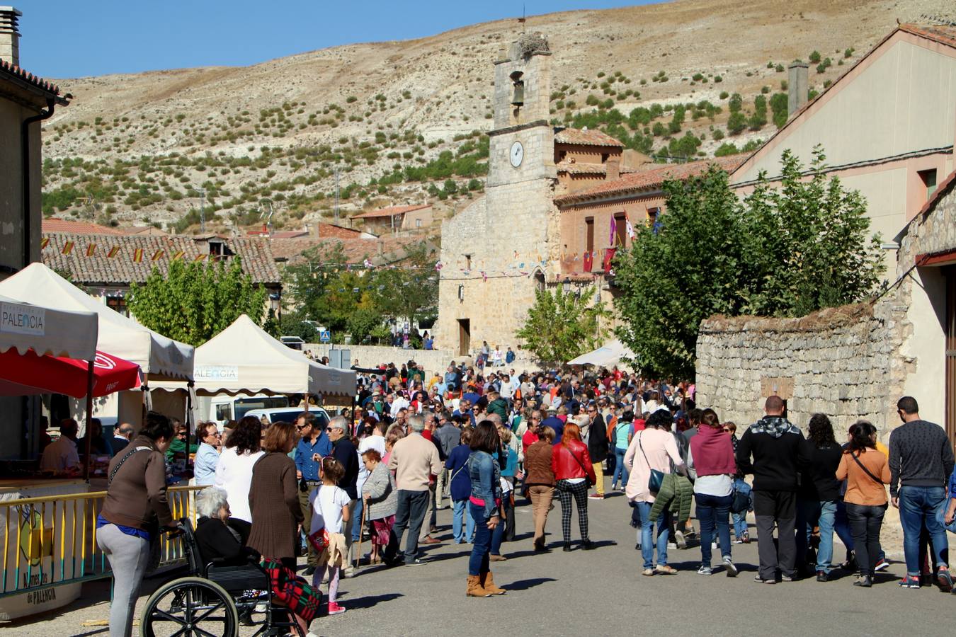 XIII Feria de la Cebolla Horcal de Palenzuela (1/2)
