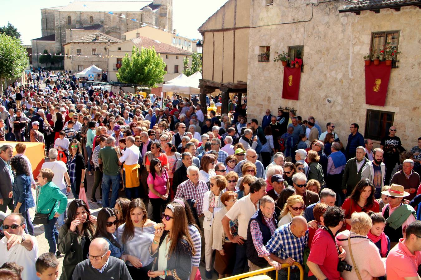XIII Feria de la Cebolla Horcal de Palenzuela (1/2)