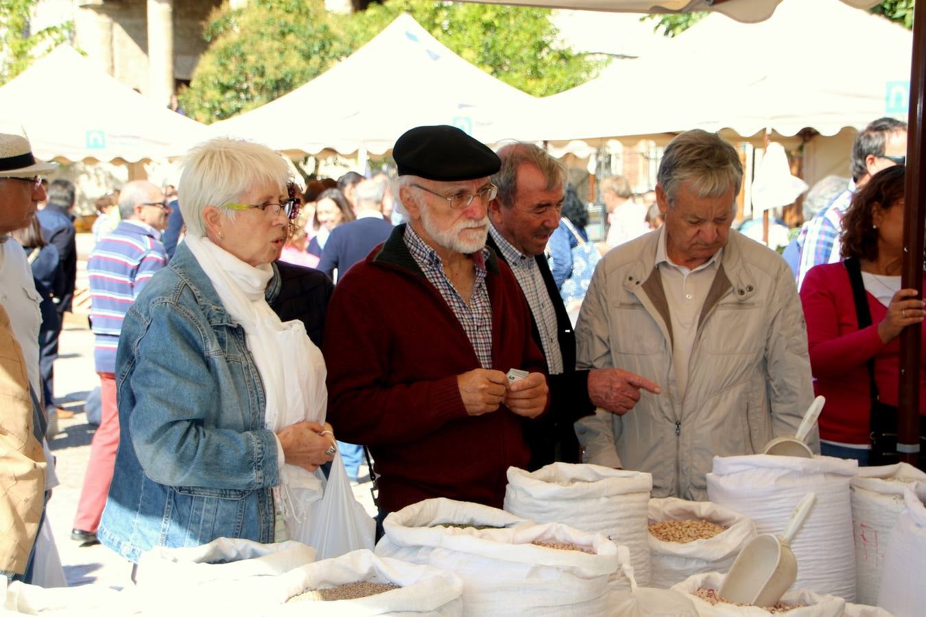 XIII Feria de la Cebolla Horcal de Palenzuela (1/2)