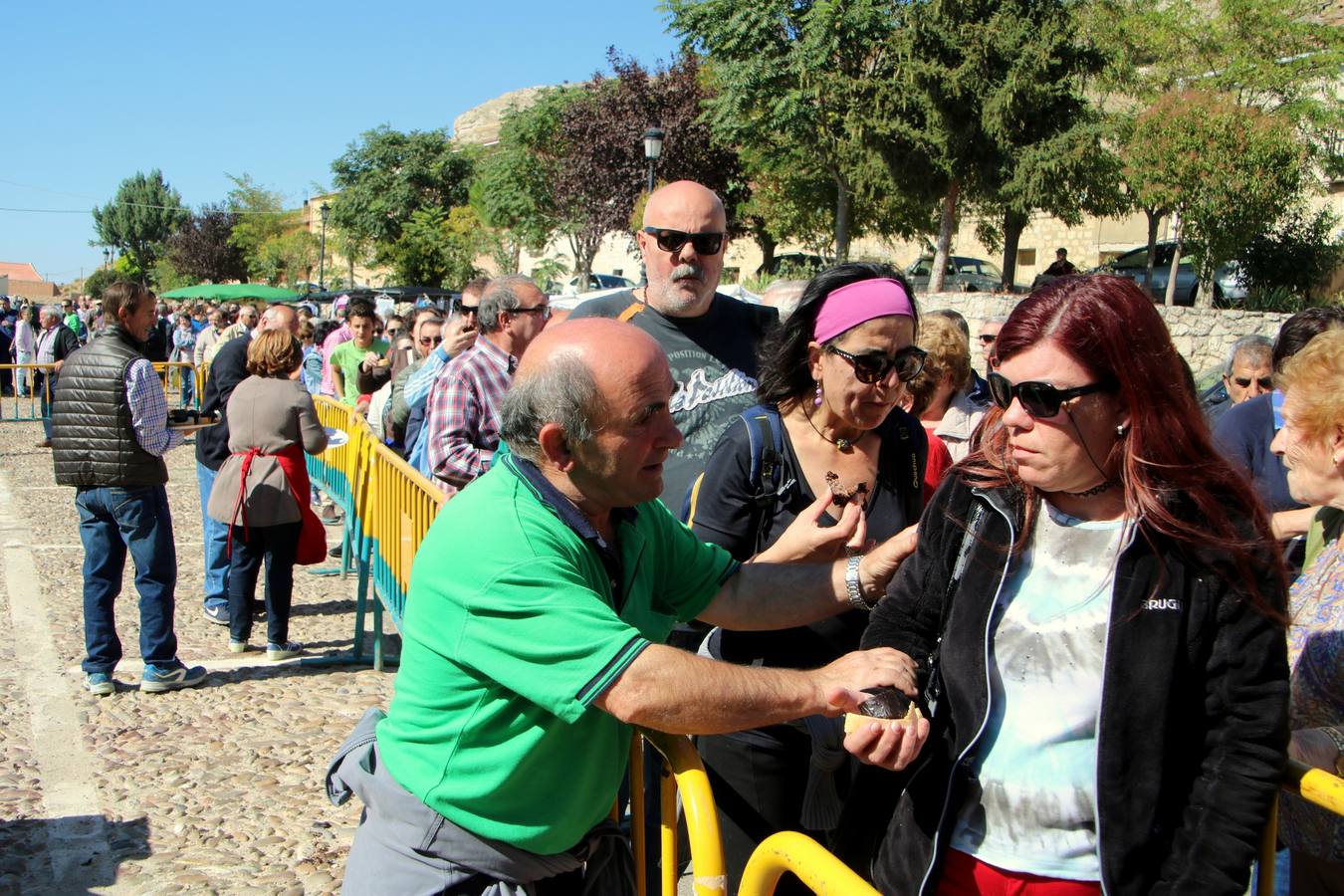 XIII Feria de la Cebolla Horcal de Palenzuela (1/2)