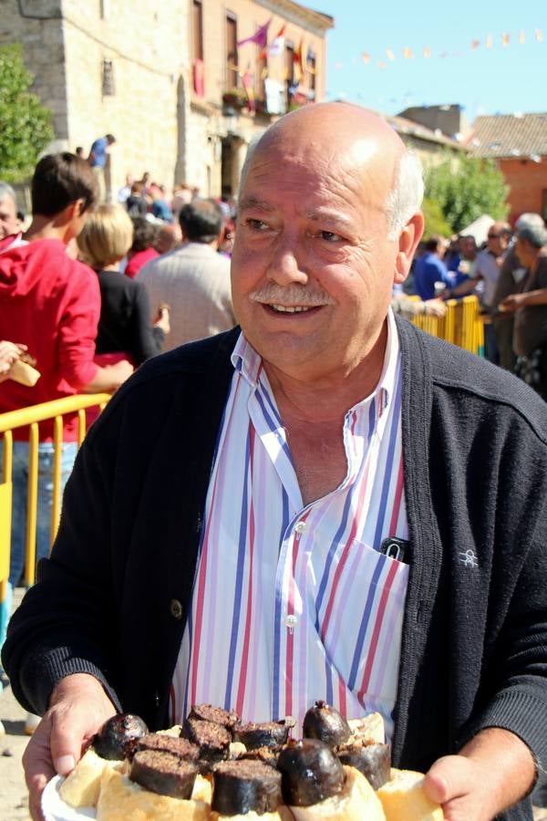 XIII Feria de la Cebolla Horcal de Palenzuela (2/2)