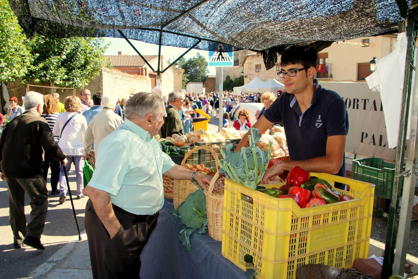 XIII Feria de la Cebolla Horcal de Palenzuela (2/2)