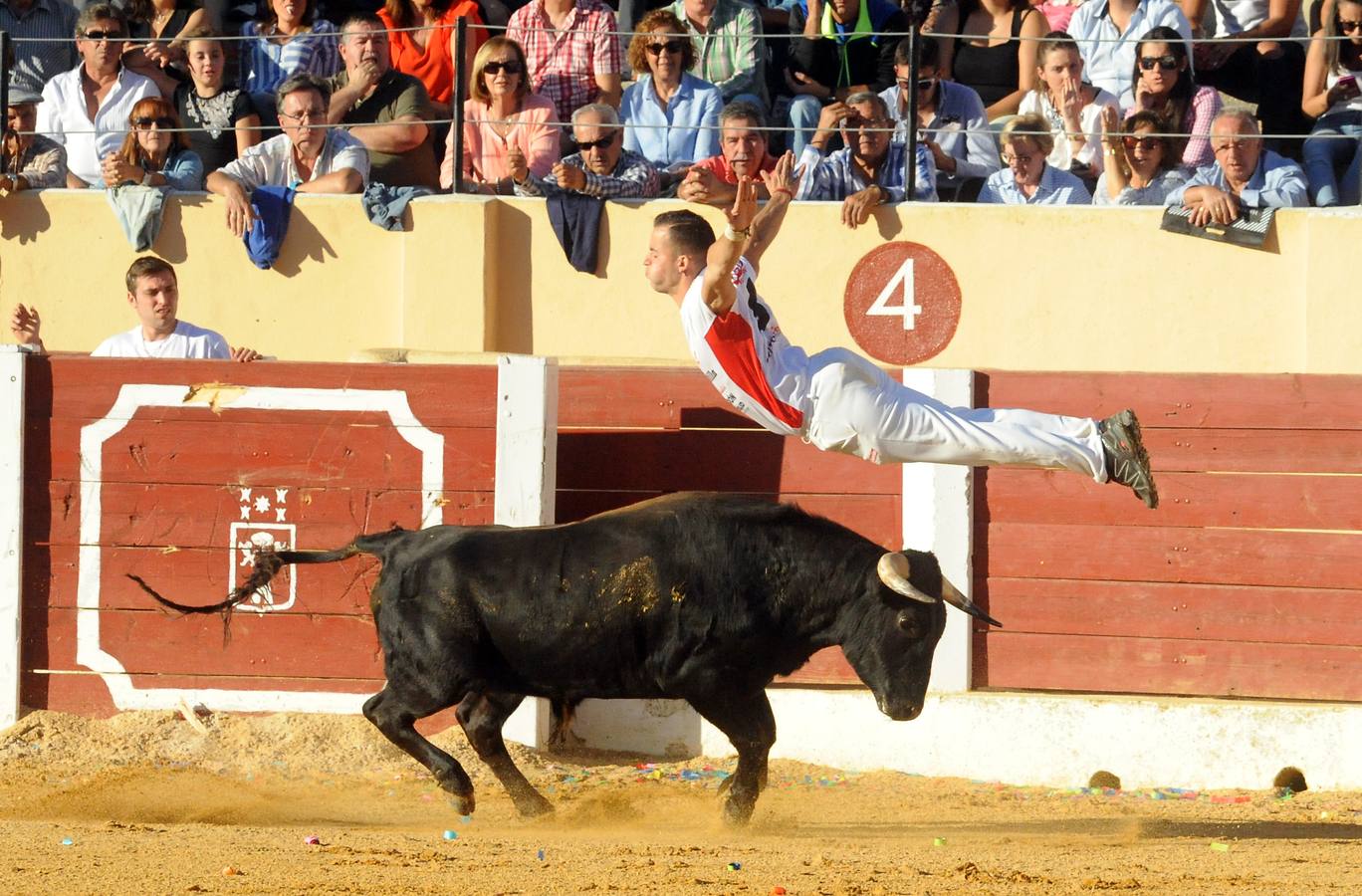 Concurso de cortes de Olmedo
