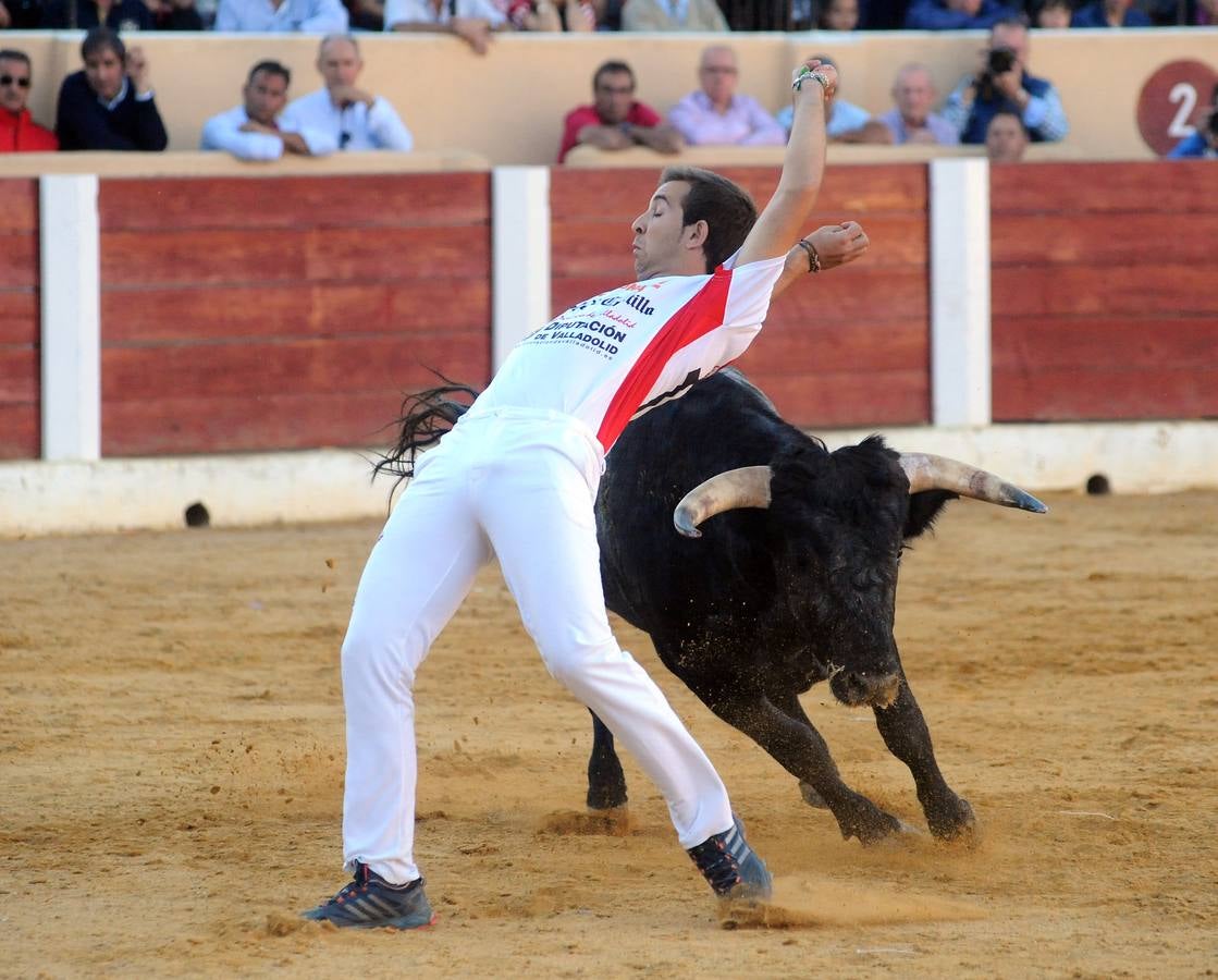 Concurso de cortes de Olmedo