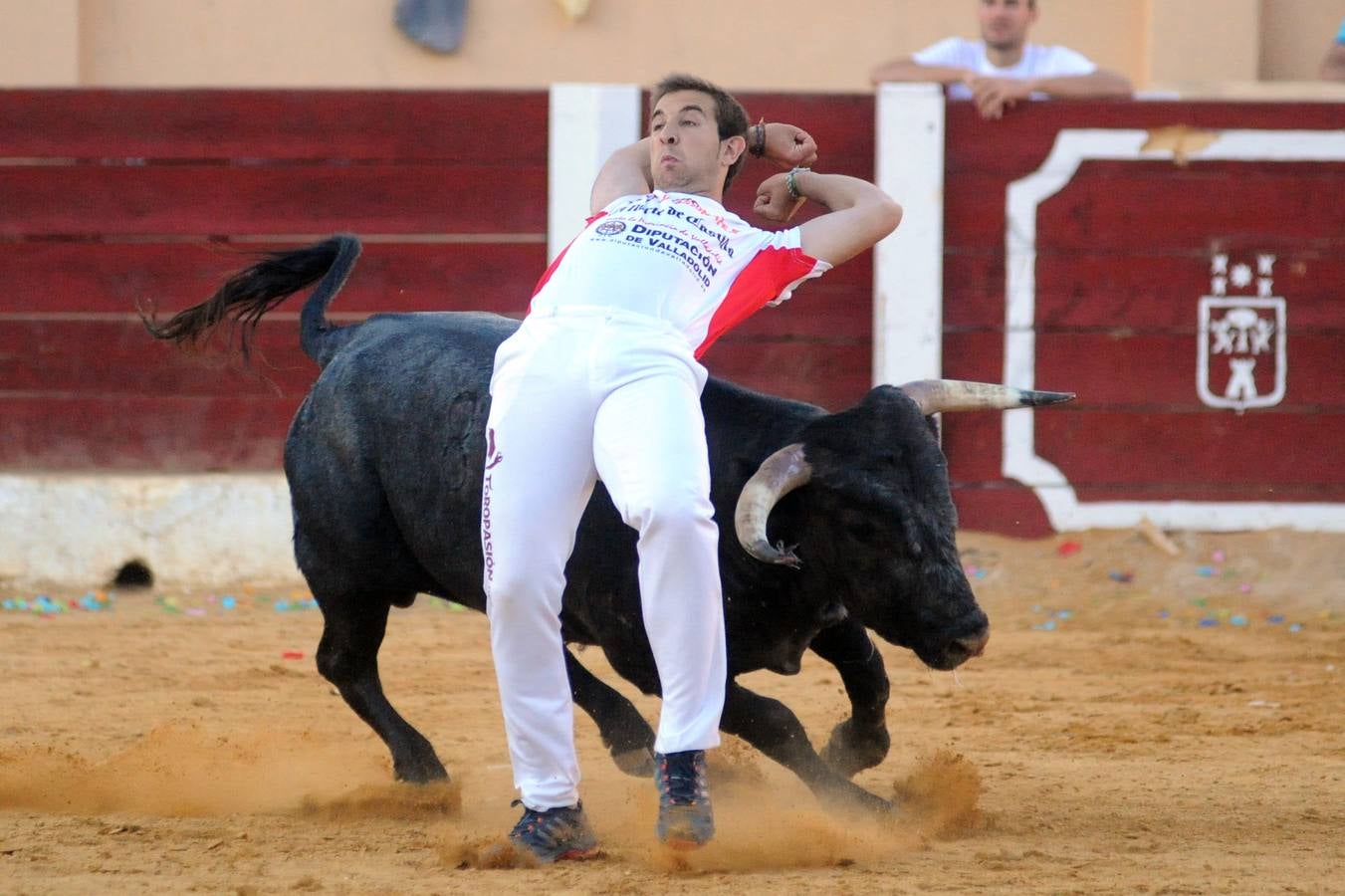 Concurso de cortes de Olmedo