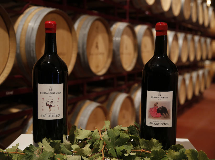 Fiesta de la vendimia en la bodega Dehesa de los Canónigos