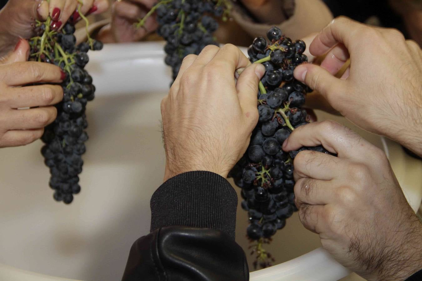 Homenaje a Mariemma en las Bodegas Arbás de Piñel de Arriba (1/2)