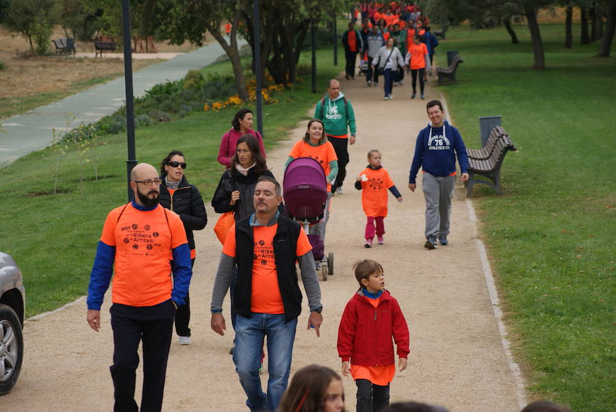 Una mañana por la ribera de Arroyo (3/3)