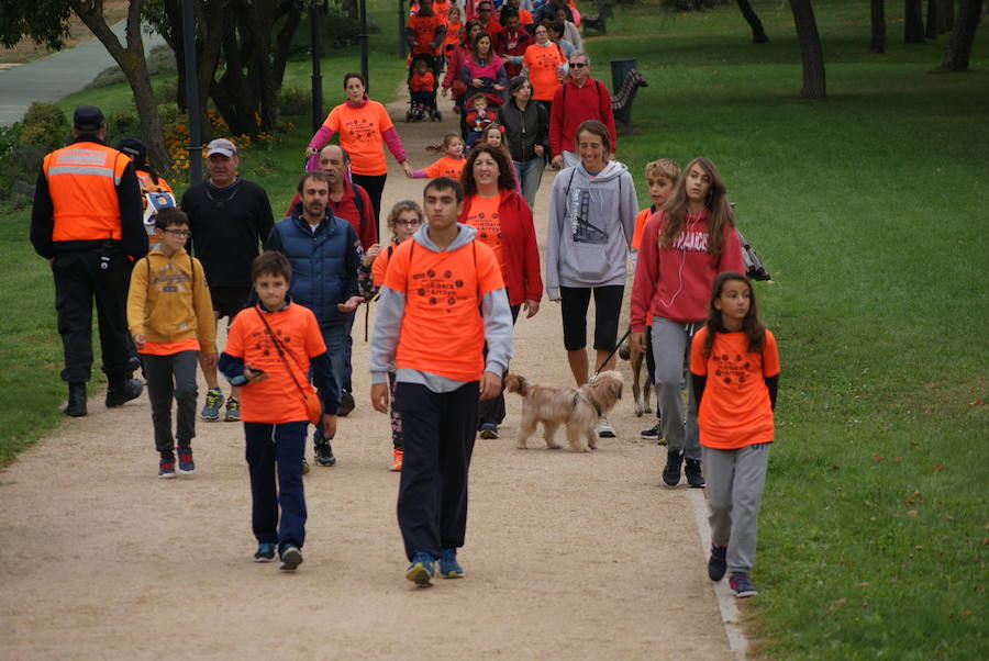 Una mañana por la ribera de Arroyo (3/3)
