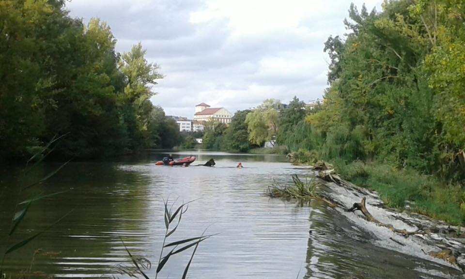 Los bomberos de Palencia rescatan a dos caballos del río Carrión