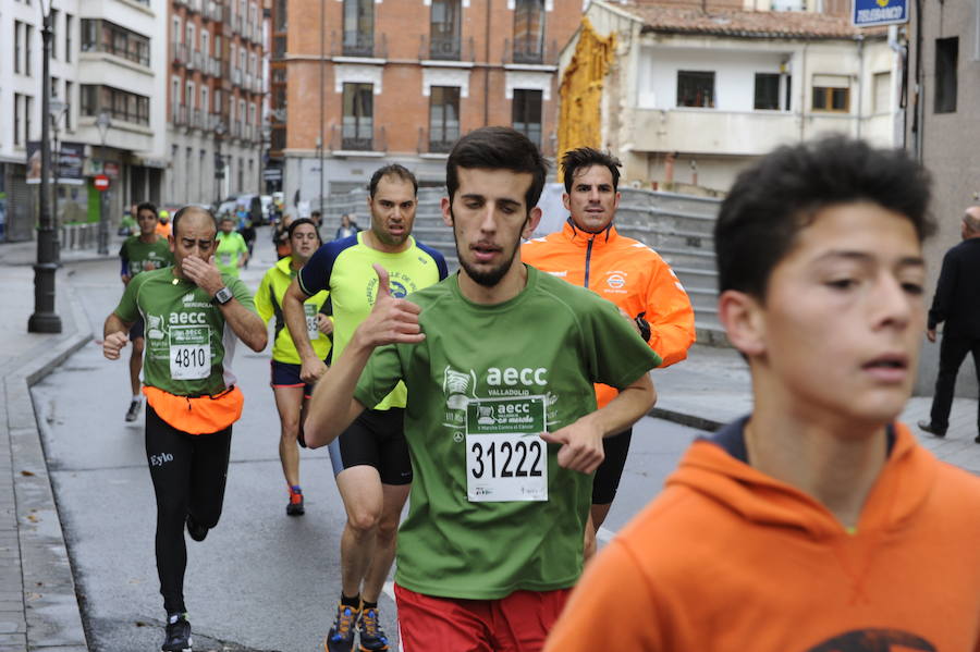 Marcha solidaria contra el cáncer en Valladolid (Fotos 1)