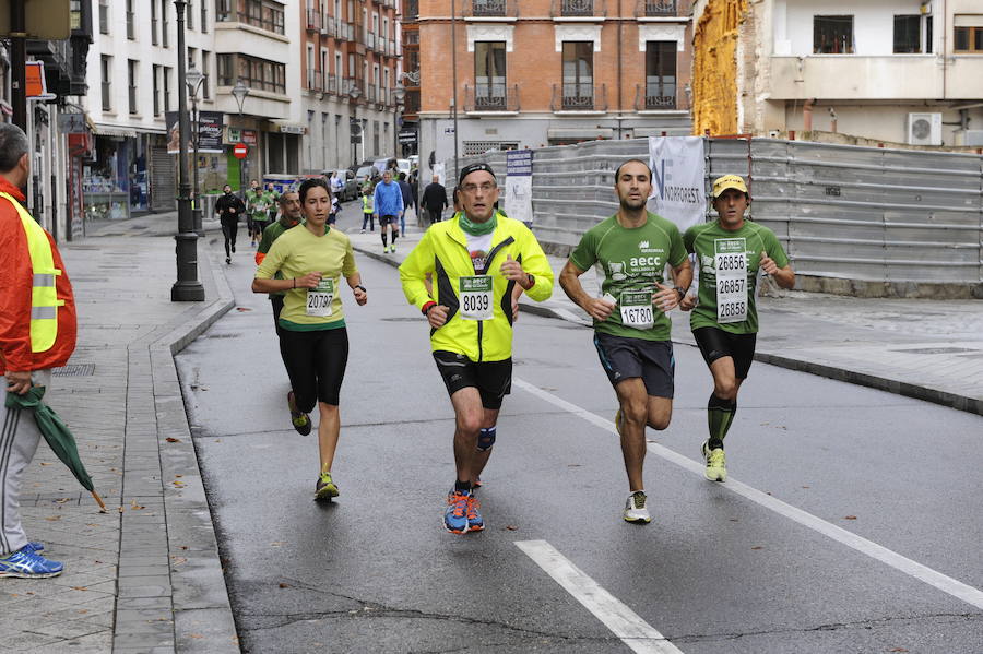 Marcha solidaria contra el cáncer en Valladolid (Fotos 1)