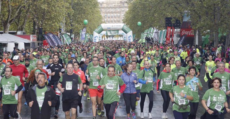 Marcha solidaria contra el cáncer en Valladolid (Fotos 16)