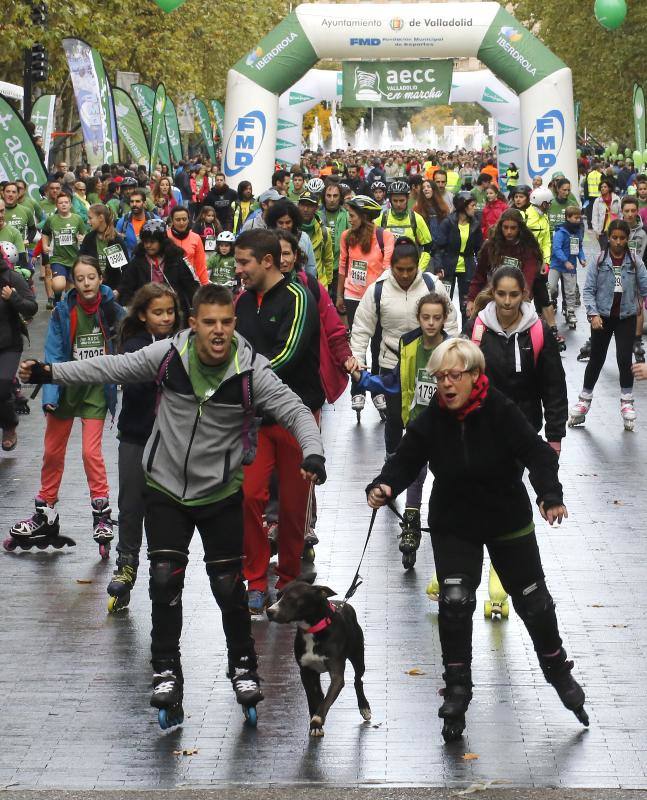 Marcha solidaria contra el cáncer en Valladolid (Fotos 16)