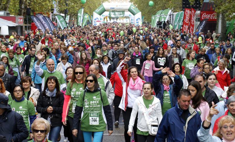 Marcha solidaria contra el cáncer en Valladolid (Fotos 16)