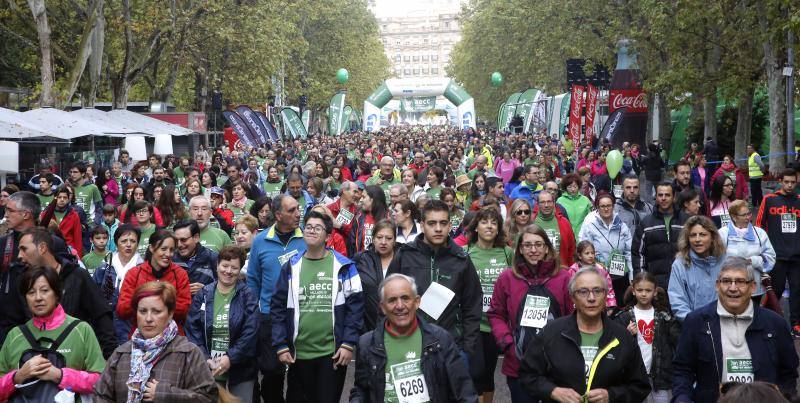 Marcha solidaria contra el cáncer en Valladolid (Fotos 16)