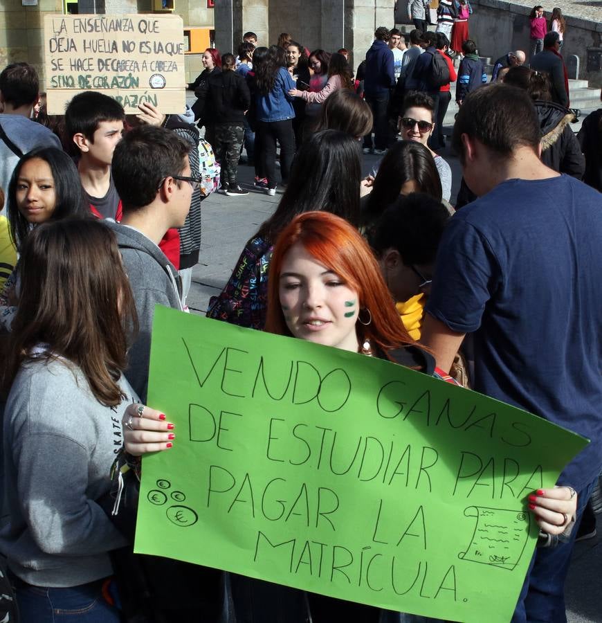 Los estudiantes segovianos se manifiestan contra la Lomce