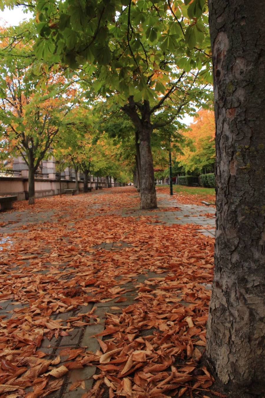 Otoño en Valladolid