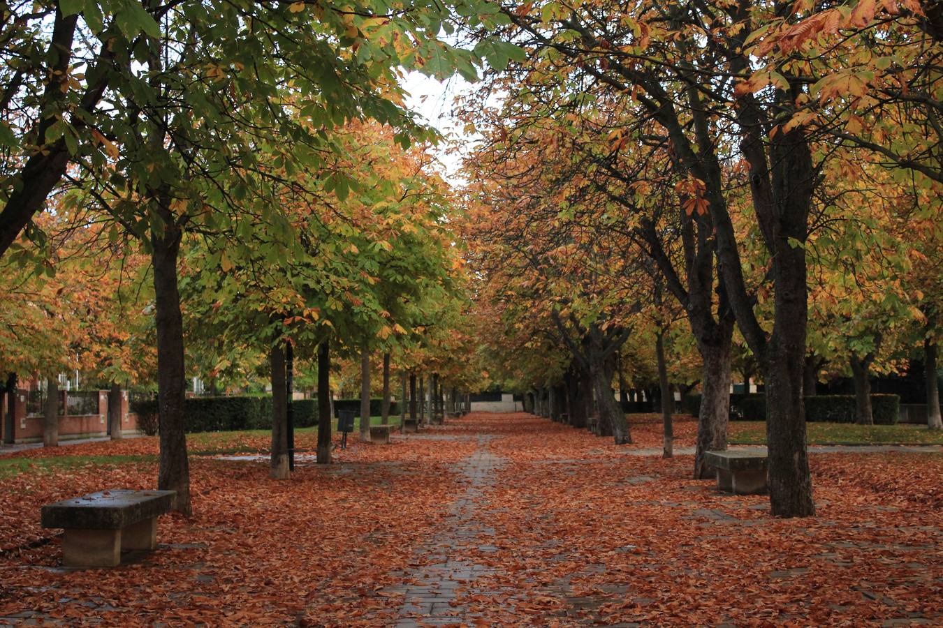 Otoño en Valladolid