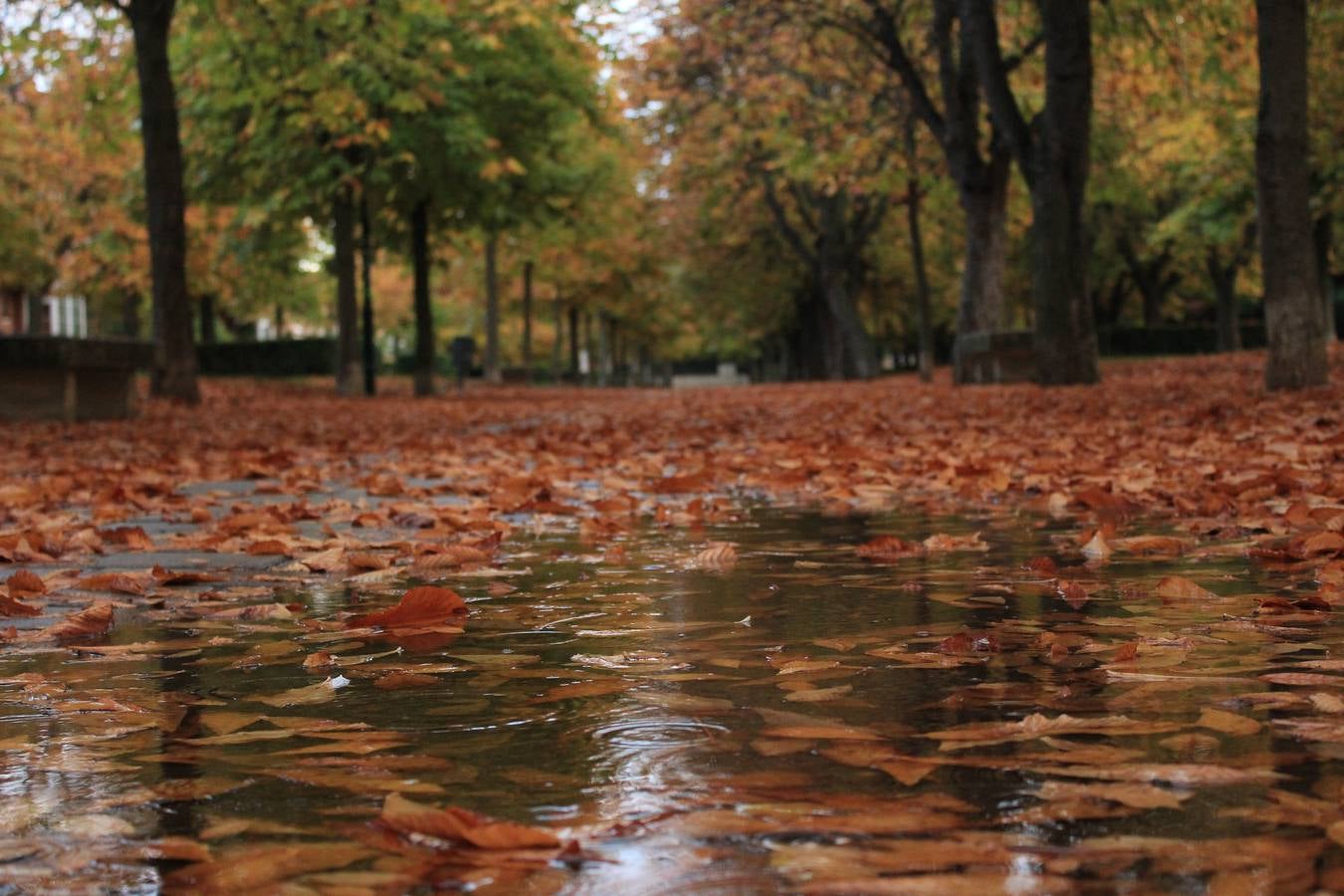 Otoño en Valladolid