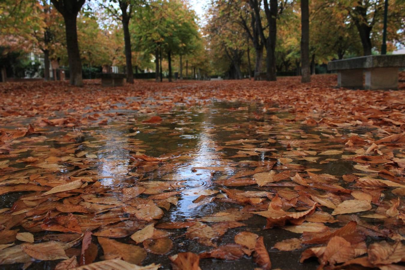 Otoño en Valladolid