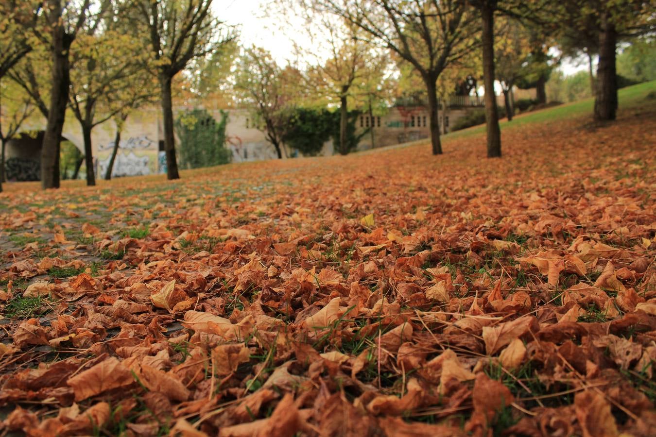 Otoño en Valladolid