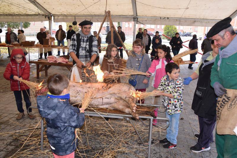 Jornadas de la matanza del cerdo en Guardo (Palencia)