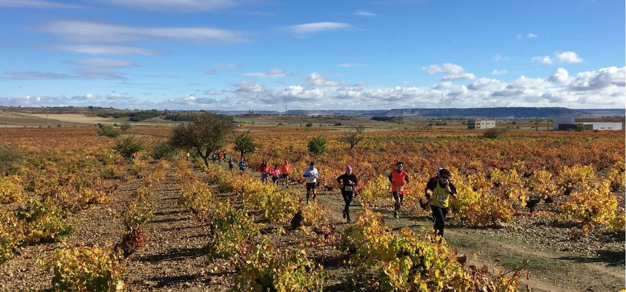 Mucientes acoge la sexta y última prueba del Circuito &#039;Corriendo entre Viñas&#039;