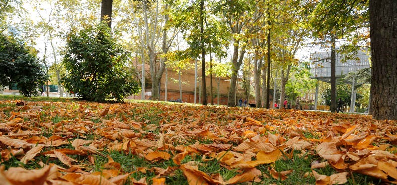 Palencia se viste de otoño