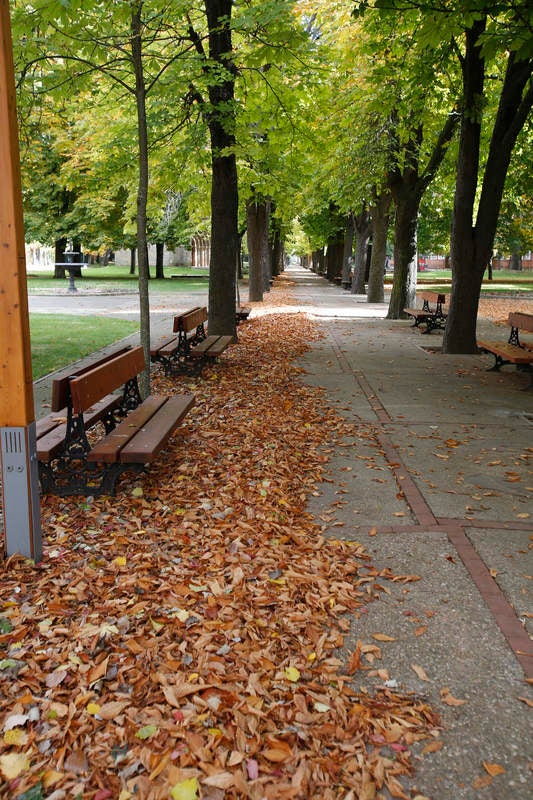 Palencia se viste de otoño