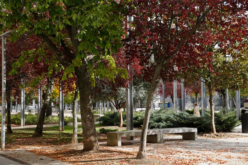 Palencia se viste de otoño